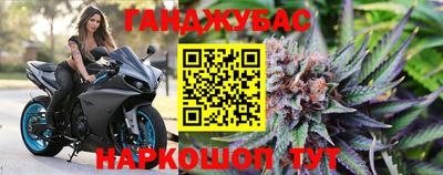 шишки Будённовск