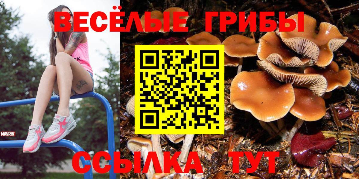 Галлюциногенные грибы ЛСД Спасск-Дальний